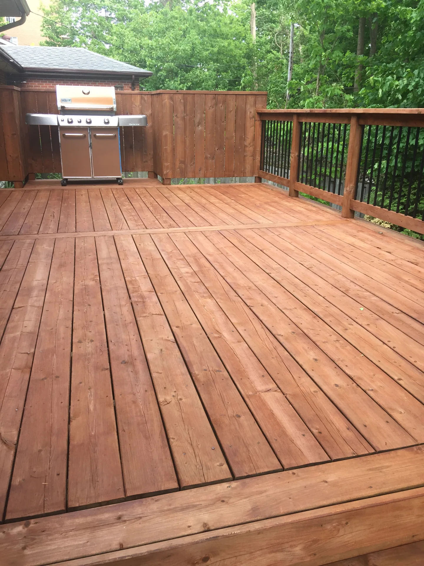 Deck & Fence Staining project